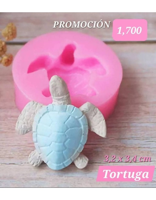 Tortuga