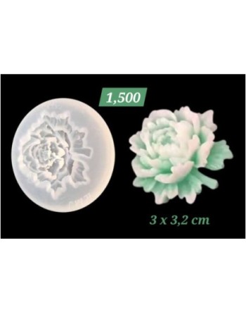 Rosa con tallo y hoja