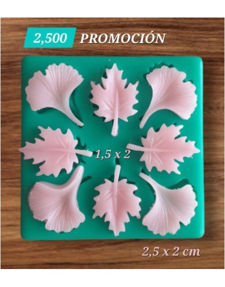 Set de hojas surtidas basicas