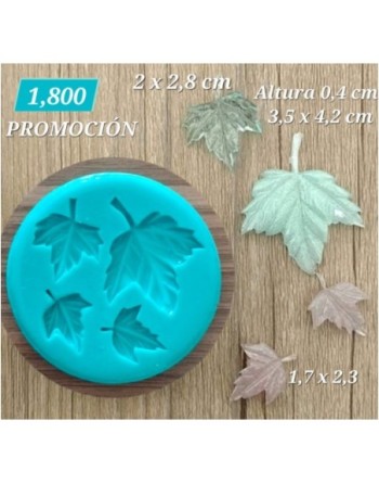 Coleccion de Hojas Detalladas