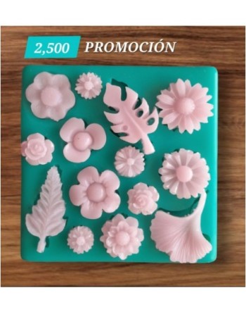 Flores & Hojas