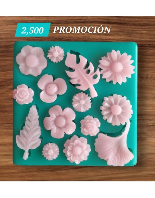 Flores & Hojas