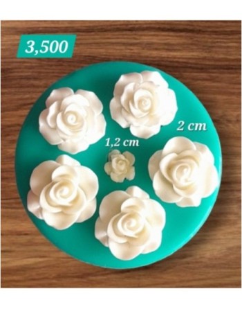Rosas x 6 unidades