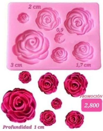 Rosas x 7 unidades