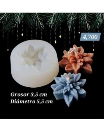 Flor de Nochebuena