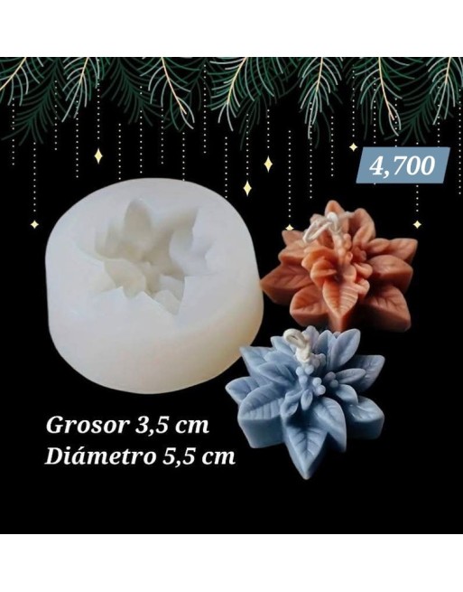 Flor de Nochebuena
