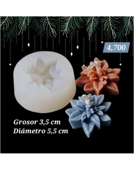 Flor de Nochebuena