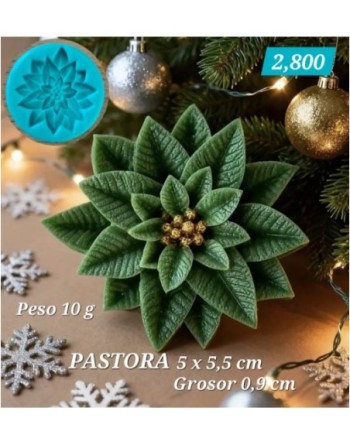 Pastora 02
