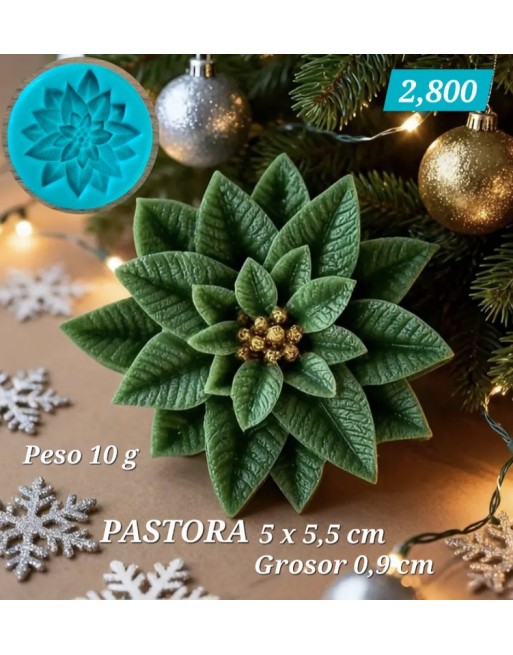 Pastora 02