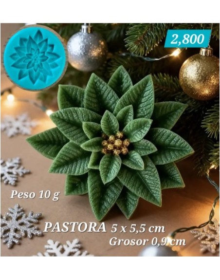 Pastora 02