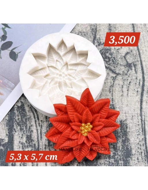 Flor