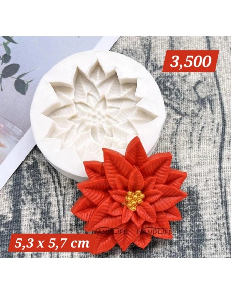 Flor