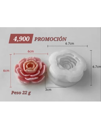 Flor Camelia