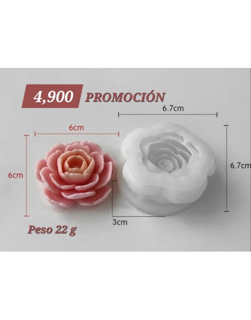 Flor Camelia