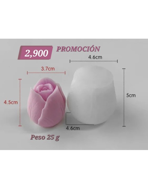 Tulipán Mediano 3D