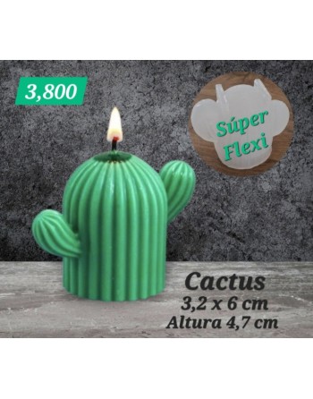 Cactus 3D