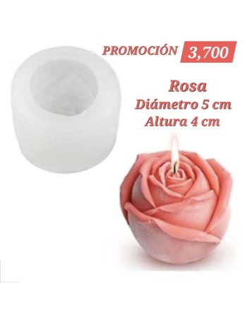 Rosa Pétalos M