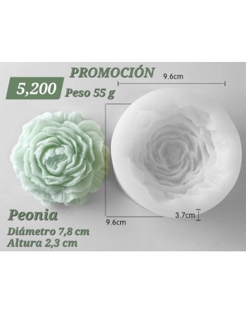 Peonia Grande Súper Flexible