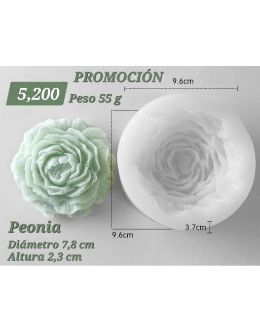 Peonia Grande Súper Flexible