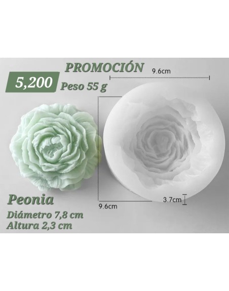 Peonia Grande Súper Flexible