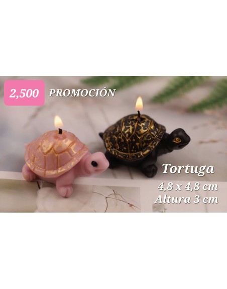 Tortuga Pequeña