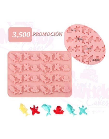Surtido Marino mini