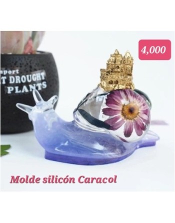 Caracol con Castillo