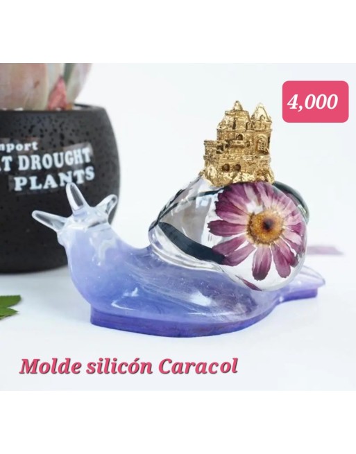 Caracol con Castillo