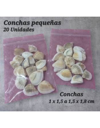 Conchitas x 20 unidades