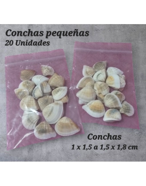 Conchitas x 20 unidades