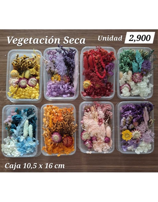 Vegetación Seca en caja