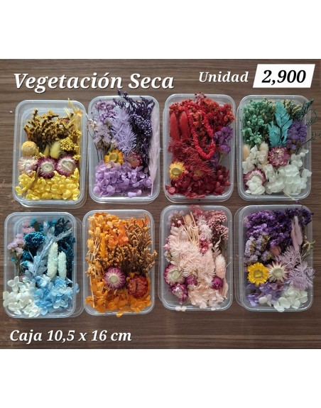 Vegetación Seca en caja