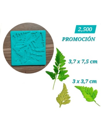 Hojas Helechos