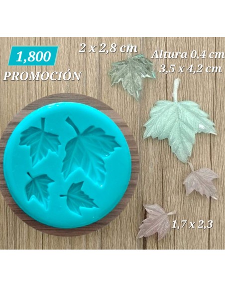 Hojas Maple