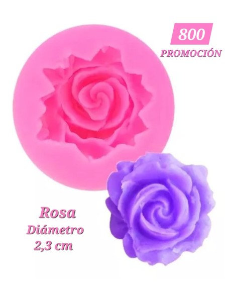 Rosa Mini