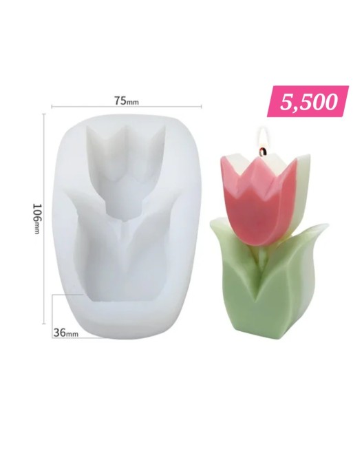 Tulipán Grande  2D