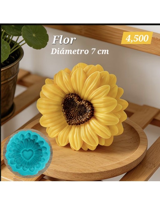 Girasol Corazón grande