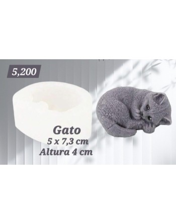 Gato 3D