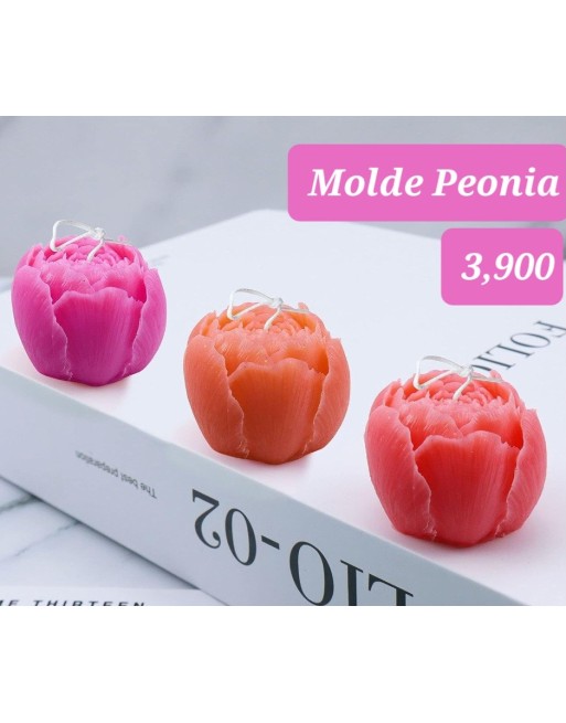 Capullo Peonia pequeña