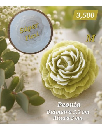 Peonia M Super Flexible