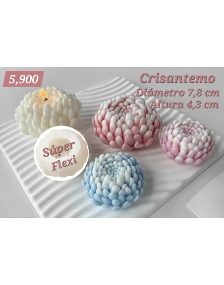 Crisantemo L