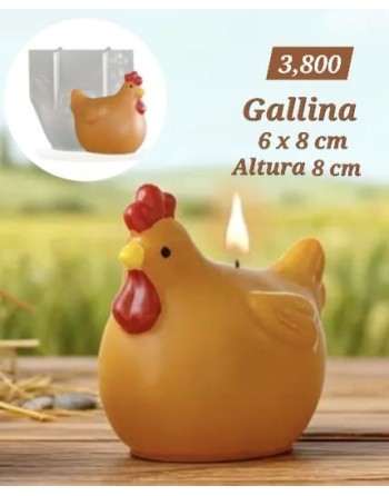 Gallina