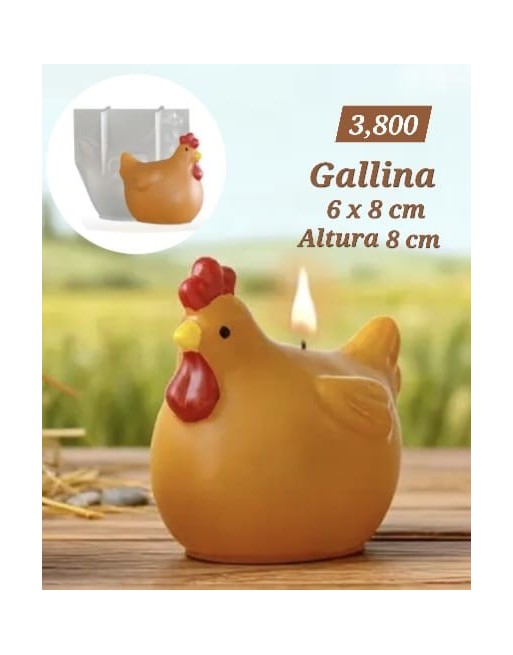 Gallina