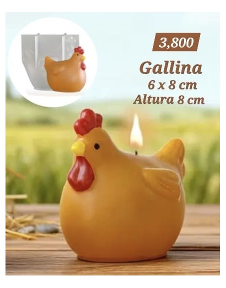 Gallina