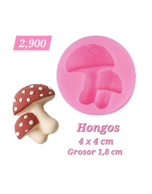 Hongos
