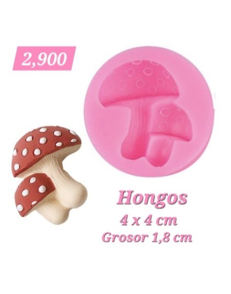 Hongos