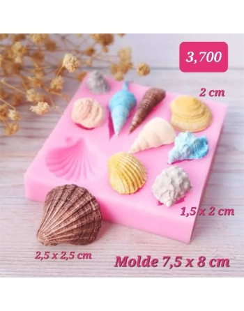 Conchas x 10 unidades