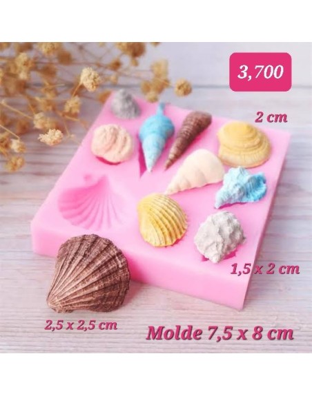Conchas x 10 unidades