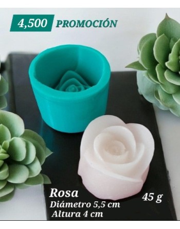 Rosa