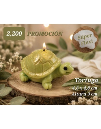 Tortuga Pequeña